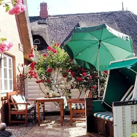 Haus-Stal-Huk-App-Sonnenblume-300381